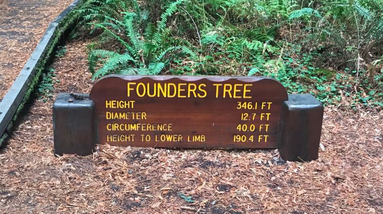 3-Day Bus Tour From San Francisco·Sundial Bridge, Crater Lake National Park and Mt. Rainier National Park