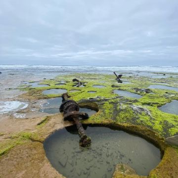 墨尔本+悉尼+黄金海岸10日9晚私家团