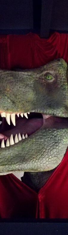 Musee des Dinosaures 'Dinosauria'-埃斯佩拉扎