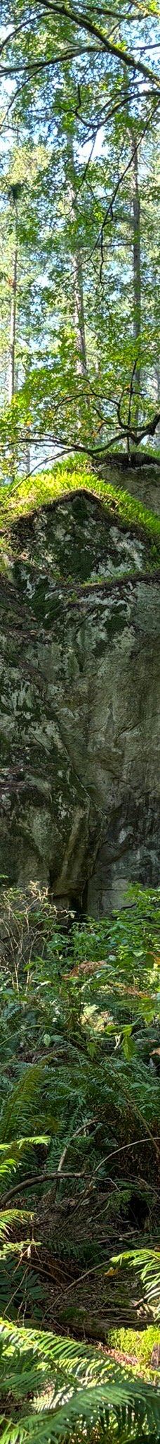 灯塔公园-西温哥华