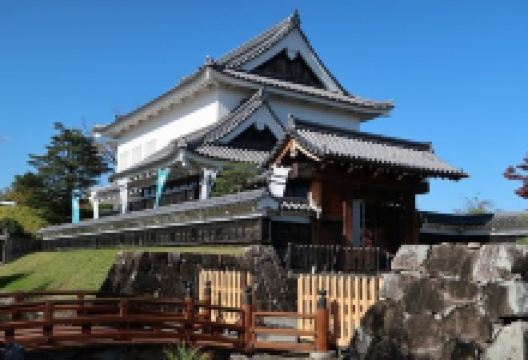 Shoryuji Castle Park景点图片
