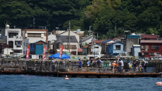 網代港
