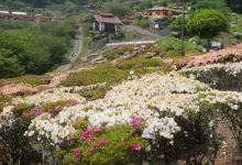 Utagaki Park景点图片