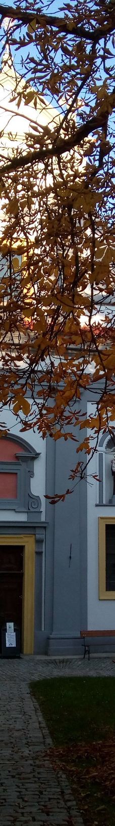 方济会修道院-克鲁姆洛夫