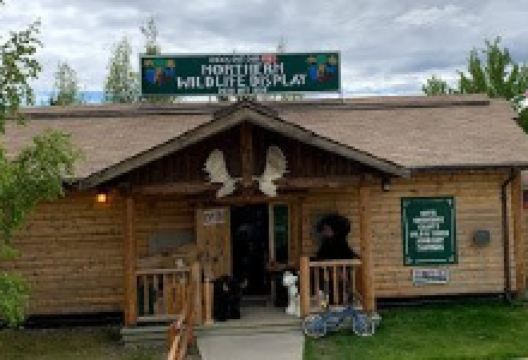 Northern Wildlife Museum景点图片