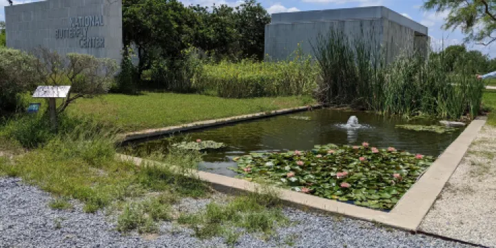 National Butterfly Center