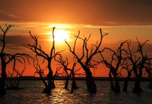 Lago Epecuen景点图片