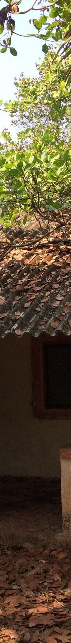 Cotigao保护区-南果阿县