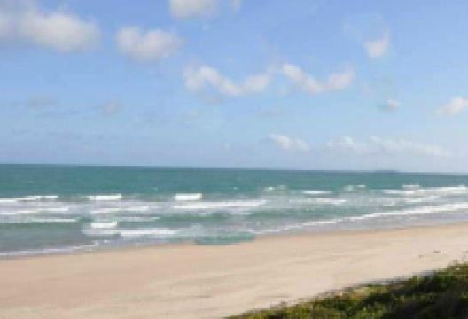 Praia do Meio景点图片