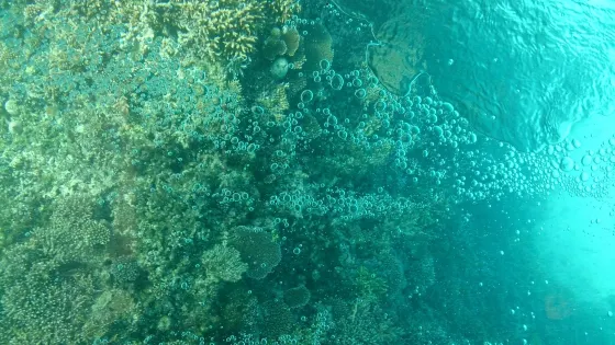 竹富海底温泉