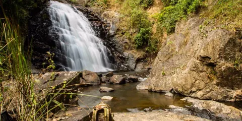 Tat Mok National Park