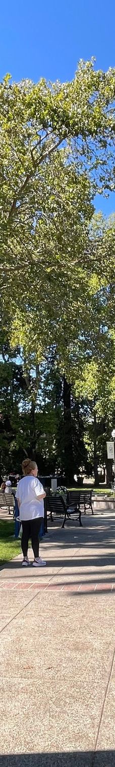 Healdsburg Plaza-希尔兹堡