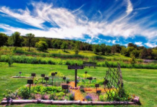 Gammelgården of Scandia景点图片