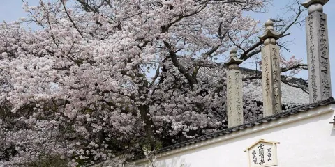 金剛頂寺 真光院