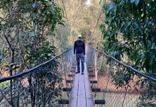 The Peterson Creek Walking Track景点图片