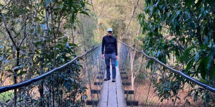 The Peterson Creek Walking Track