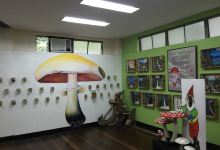 UPLB Museum of Natural History景点图片