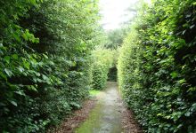 Museum de Koloniehof景点图片