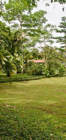 Finca Cantaros-圣维托