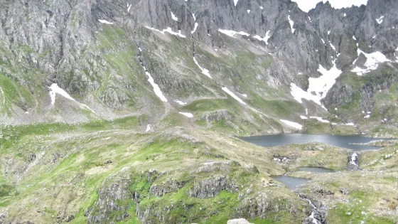 Molladalen