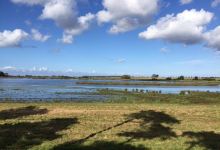 Gyldensteen Strand景点图片