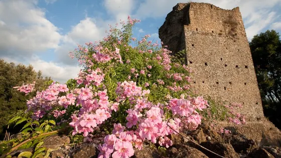 Torrecchia Vecchia