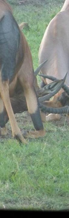 Adventure Africa Expedition-内罗毕