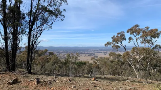 Mount Majura