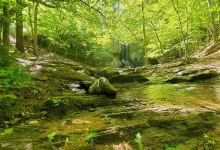 High Shoals Falls景点图片