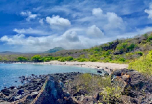 Playa Baquerizo景点图片