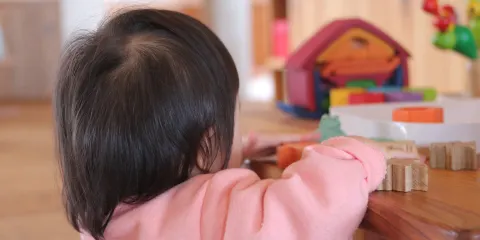 Toy House Kodomo to Ki