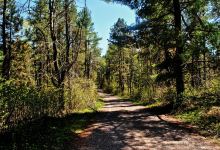 Camp Nine Pines State Natural Area景点图片