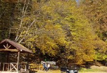 Agapia River景点图片