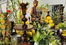 Nhà Thầy Thiện景点图片