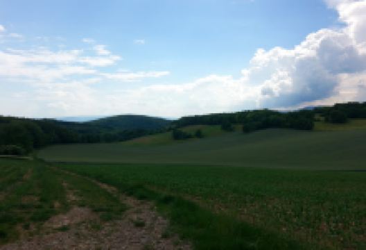 Herrenwald景点图片