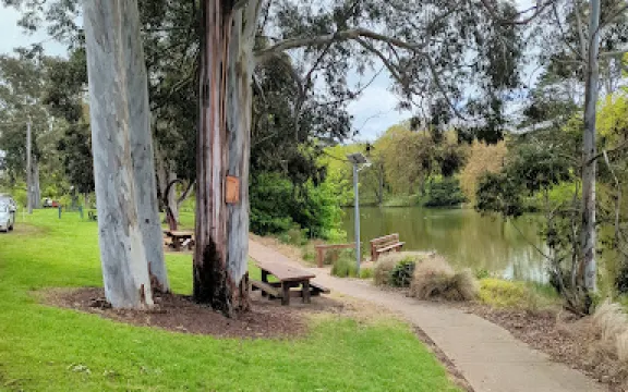 Apex Park