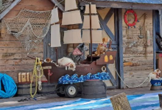 Georgia Renaissance Festival景点图片