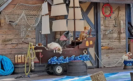 Georgia Renaissance Festival