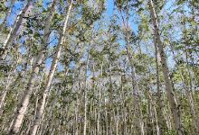 Baza Otdykha V Gostyakh U Skazki Ul Zh.zhabayeva 25景点图片