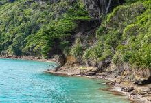 Motuara Island景点图片