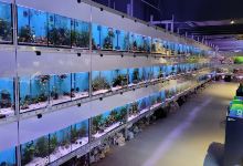Aquarium Center East, Munich购物图片