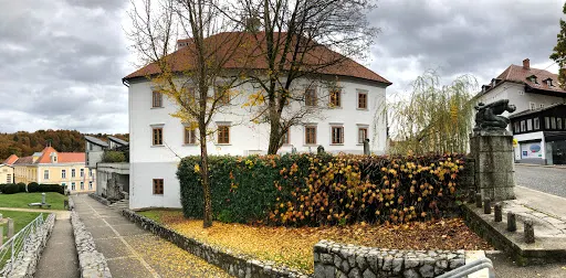 Knjižnica Mirana Jarca