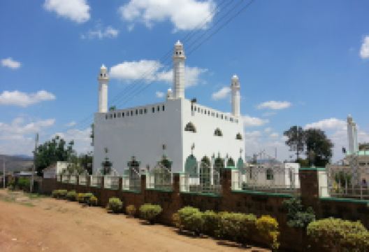 Sheikh Nazim Mosque景点图片