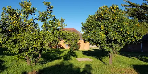 好消息宣教會約翰內斯堡教會