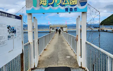 Asamushi Umizuri Park