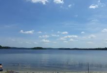 Molasses Pond Bog (Marshland)景点图片
