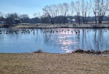 Lerner Conservation Park景点图片