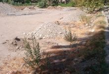 Rahma Mosque景点图片