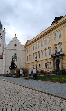 Regionalni Muzeum V Teplicich-特普利采