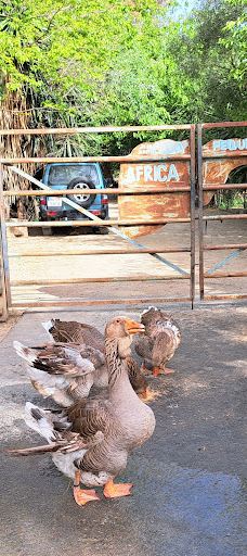 La Pequeña África-加的斯省